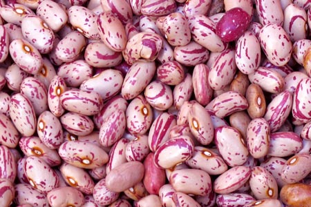 Cranberry Beans